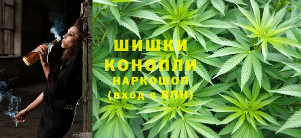 ECSTASY Алзамай
