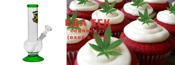 ECSTASY Алзамай