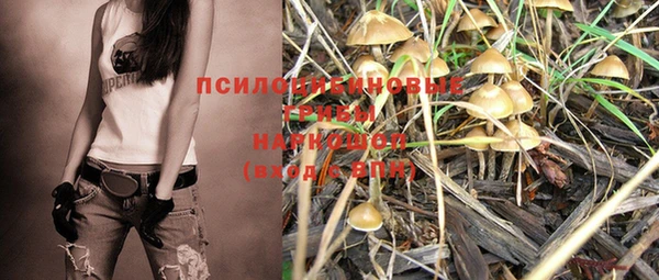 MDMA Алексеевка