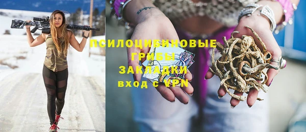 ECSTASY Алзамай